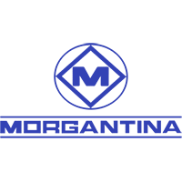 MORGANTINA
