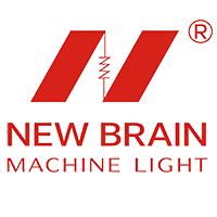 NEW BRAIN