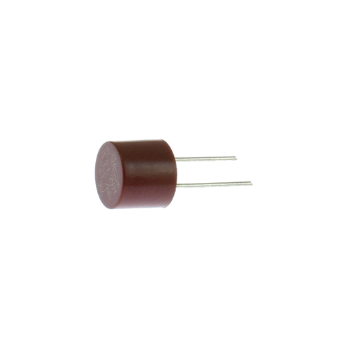 Fuse 2A RASOR # PA T1029F10 (Genuine)